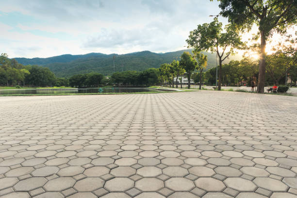 Best Interlocking Driveway Pavers  in Bonney Lake, WA
